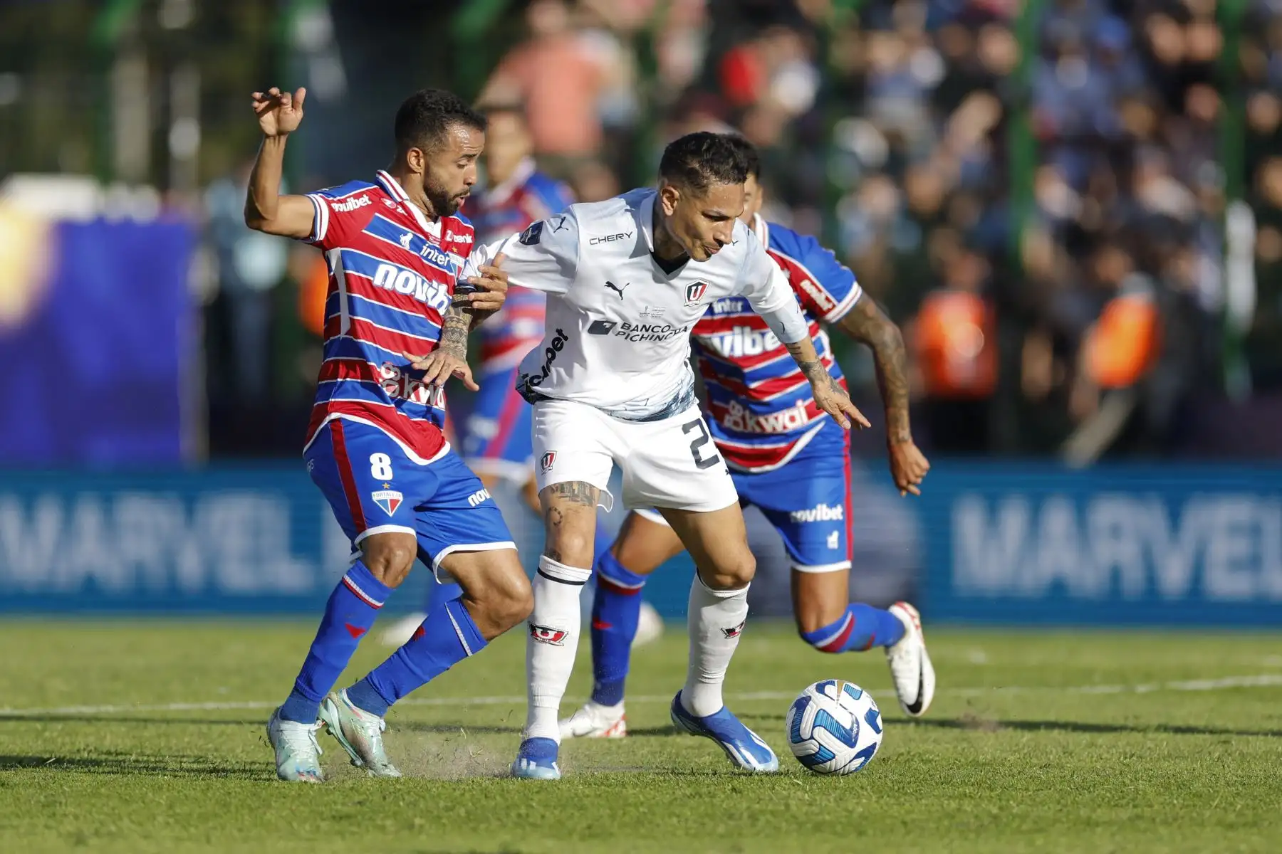 El delantero peruano de la Liga de Quito Paolo Guerrero, en el estadio Domingo Burgueño Miguel en Maldonado, Uruguay.
Foto: AFP