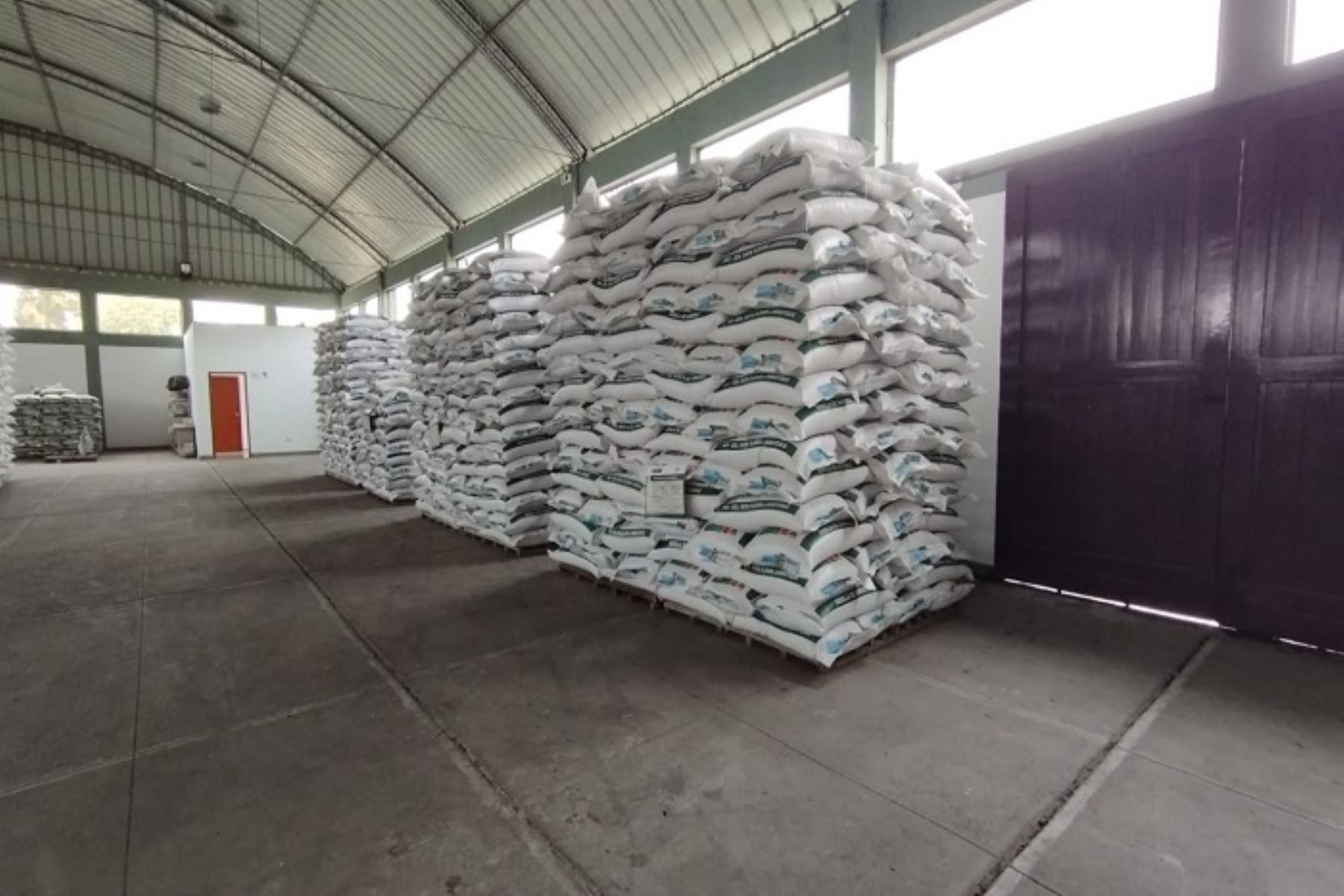 Lambayeque: INIA produjo130 toneladas de semillas de alta calidad en lo que va del año