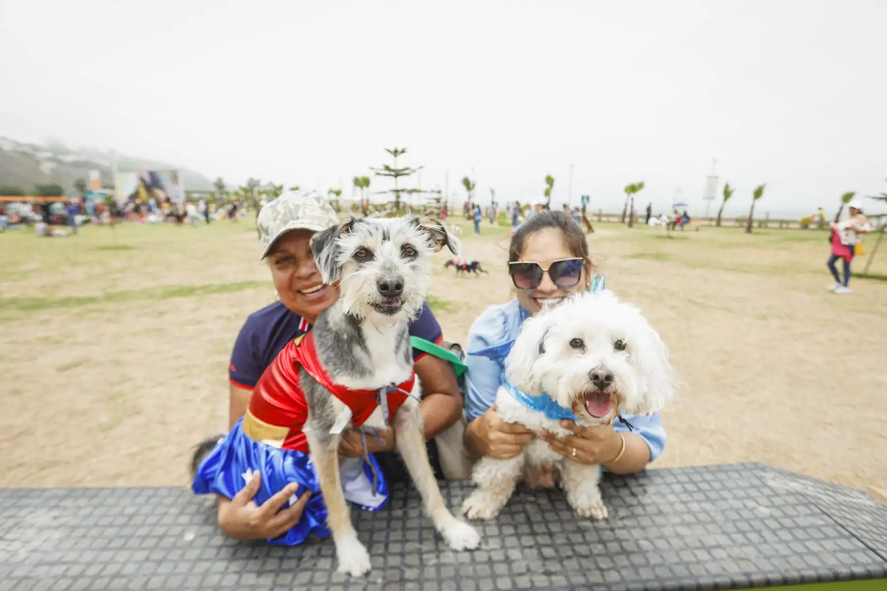 La municipalidad de Magdalena del Mar, realizó un emocionante y divertido concurso de mascotas celebrando el Halloween Canino. Se trató de un peculiar certamen en el que participaron más de 600 canes con diferentes y coloridos disfraces, de muchos  distritos de Lima Metropolitana. 
Foto: Municipalidad de Magdalena