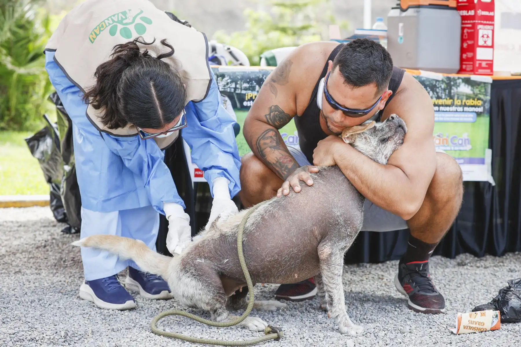 La municipalidad de Magdalena del Mar, realizó un emocionante y divertido concurso de mascotas celebrando el Halloween Canino. Se trató de un peculiar certamen en el que participaron más de 600 canes con diferentes y coloridos disfraces, de muchos  distritos de Lima Metropolitana. 
Foto: Municipalidad de Magdalena