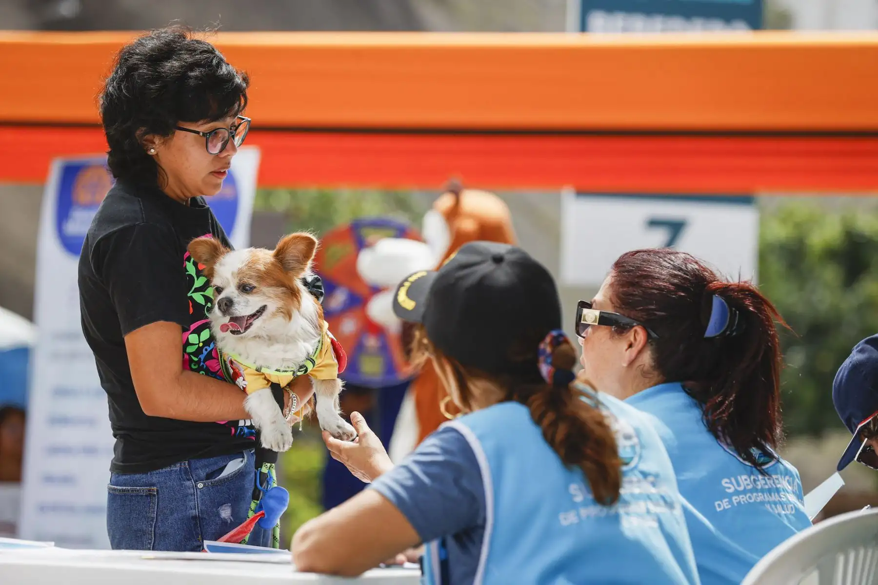 La municipalidad de Magdalena del Mar, realizó un emocionante y divertido concurso de mascotas celebrando el Halloween Canino. Se trató de un peculiar certamen en el que participaron más de 600 canes con diferentes y coloridos disfraces, de muchos  distritos de Lima Metropolitana. 
Foto: Municipalidad de Magdalena