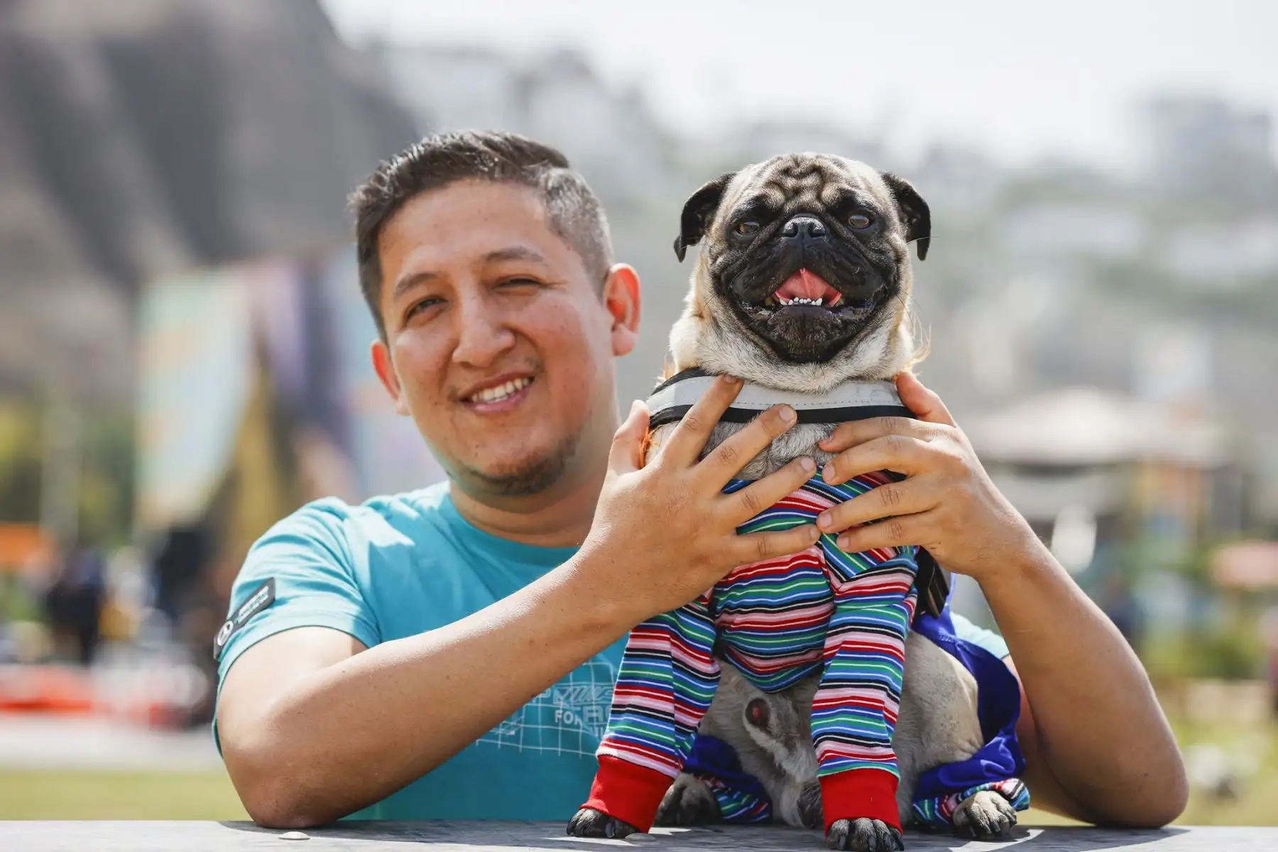 La municipalidad de Magdalena del Mar, realizó un emocionante y divertido concurso de mascotas celebrando el Halloween Canino. Se trató de un peculiar certamen en el que participaron más de 600 canes con diferentes y coloridos disfraces, de muchos  distritos de Lima Metropolitana. 
Foto: Municipalidad de Magdalena