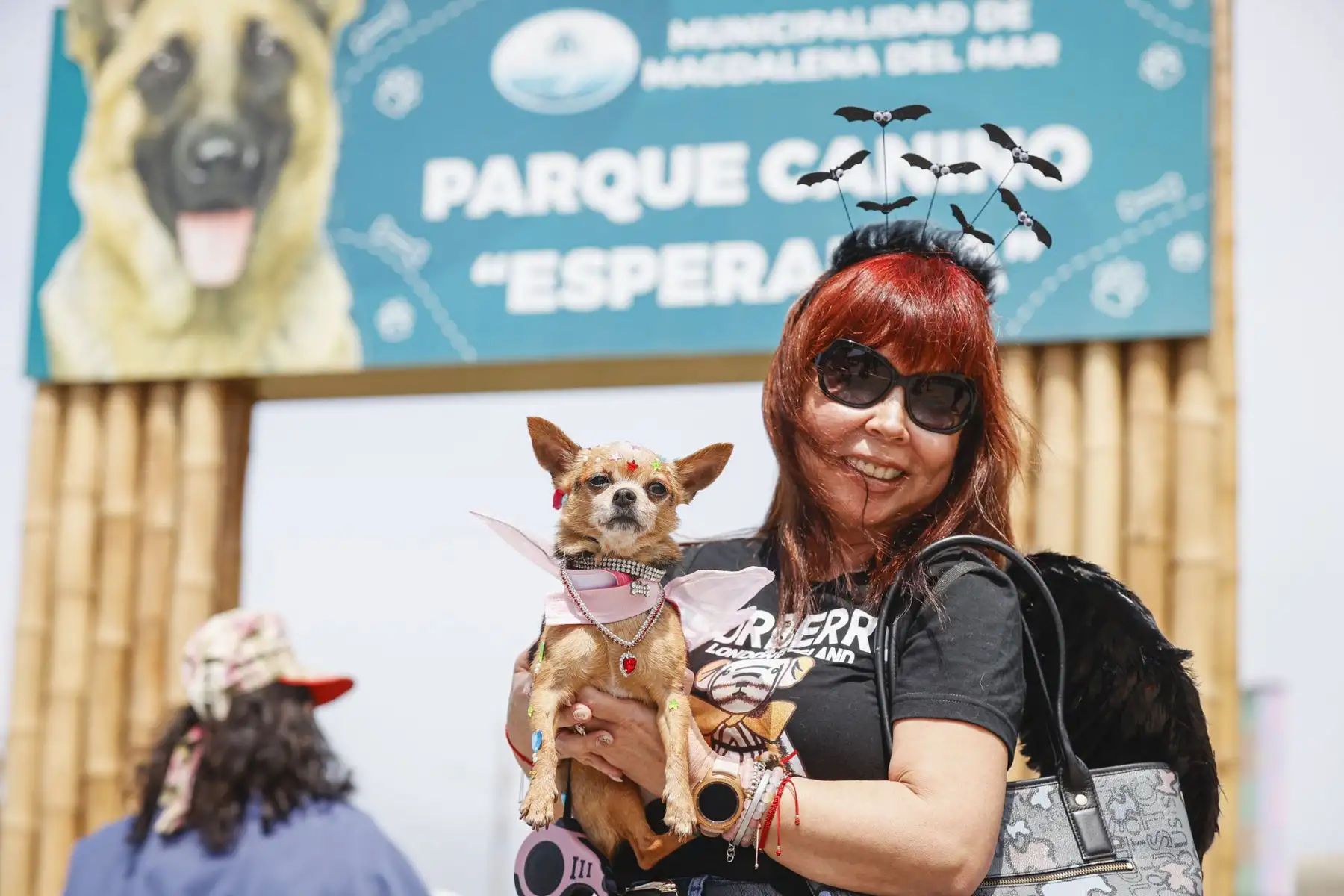 La municipalidad de Magdalena del Mar, realizó un emocionante y divertido concurso de mascotas celebrando el Halloween Canino. Se trató de un peculiar certamen en el que participaron más de 600 canes con diferentes y coloridos disfraces, de muchos  distritos de Lima Metropolitana. 
Foto: Municipalidad de Magdalena