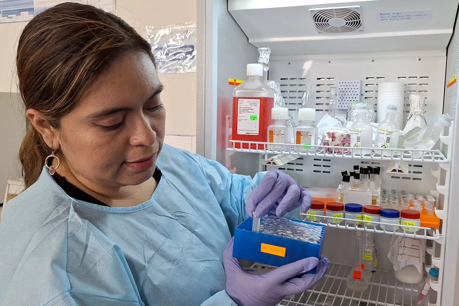Carmen Rosa Silva Correa, científica de la Universidad Nacional de Trujillo e investigadora del Consejo Nacional de Ciencia, Tecnología e Innovación Tecnológica, lleva alrededor de una década dedicada a la investigación de especies vegetales para la prevención de muchas enfermedades.
Foto: cortesía Luis Puell