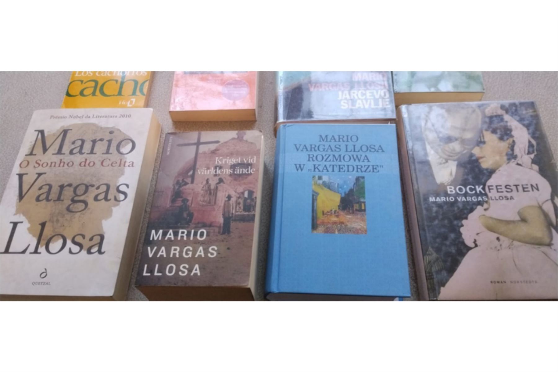 Exposición en la Biblioteca Regional Mario Vargas Llosa se podrá visitar gratuitamente de 08:00 a 18:00 horas durante noviembre. Foto: ANDINA/Difusión