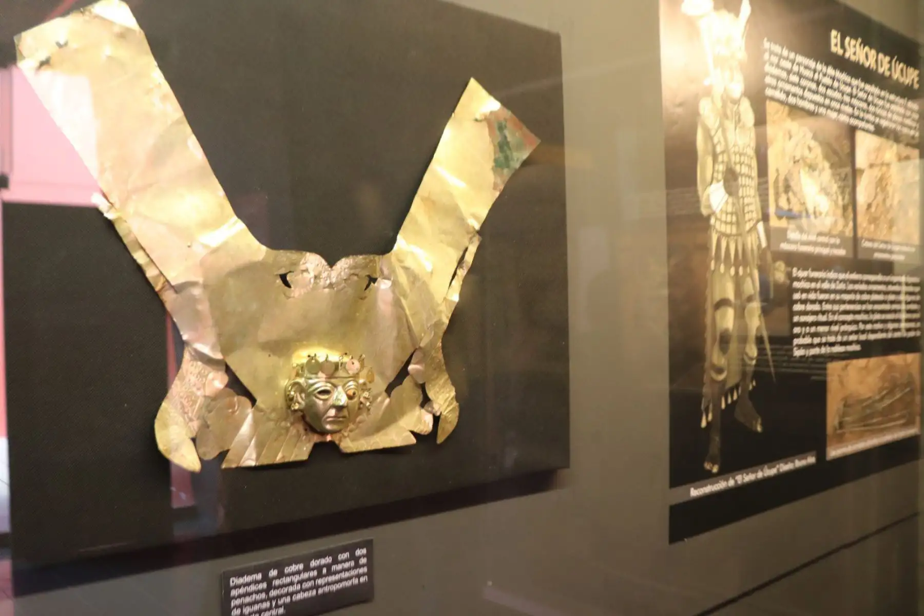 En esta exposición se exhiben, por primera vez, más de 40 piezas arqueológicas originales de metal, cerámica y hueso, procedentes de las últimas investigaciones realizadas por el museo en once importantes tumbas excavadas científicamente en los complejos arqueológicos de Úcupe, Huaca Limón, Santa Rosa de Pucalá y Sipán. Foto: ANDINA/ Difusión