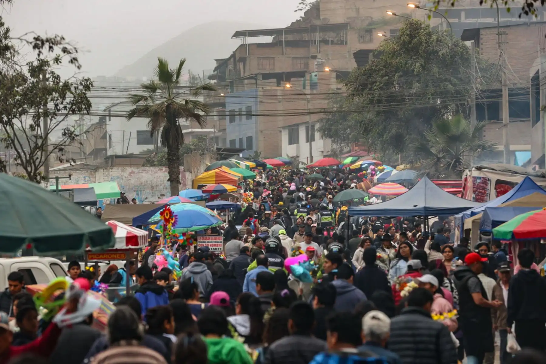 Cada 1 de noviembre miles de familias se abren paso entre los cerros de Villa María del Triunfo, desde muy tempranas horas entre acordes de encendidos huainos y humeantes caldos de mote, cerdos recién horneados y cuyes de campeonato,  recorren sus faldas en busca de sus seres queridos enterrados en el Cementerio Virgen de Lourdes, conocido popularmente como Nueva Esperanza el camposanto más grande del Sudamérica y el segundo más grande del mundo.
Foto: ANDINA/Juan Carlos Guzmán