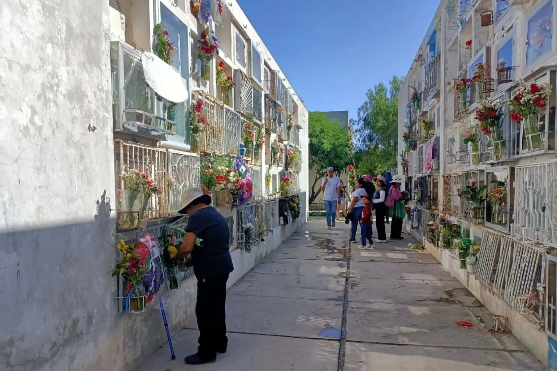 Miles de personas visitan los campos santos, en Arequipa, al recordarse hoy el Día de Todos los Santos. Desde tempranas horas de la mañana la gente empezó a llegar a los cementerios para visitar a sus familiares fallecidos. Foto: ANDINA/Rocío Méndez