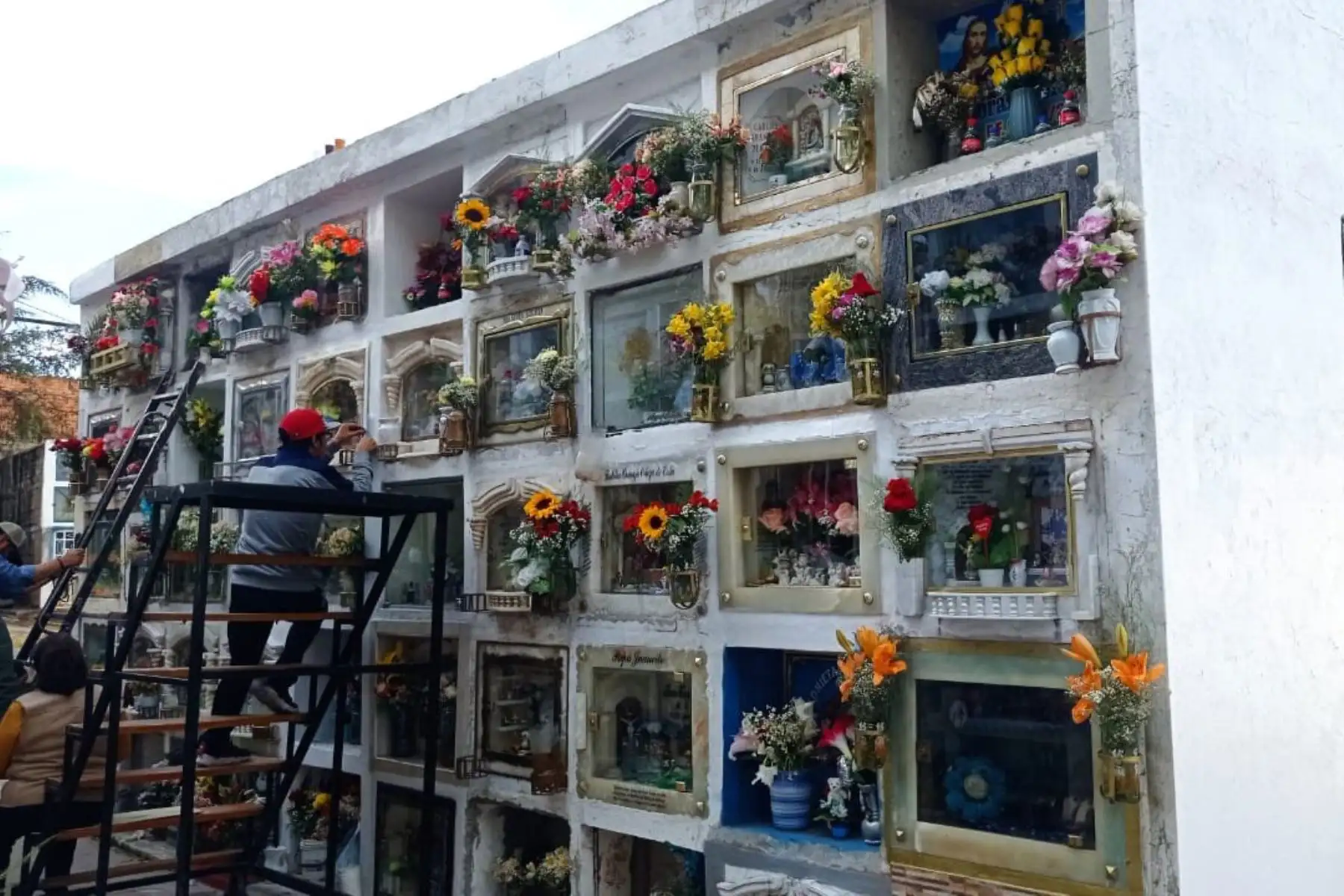 En la ciudad de Puno, la población y sus seres queridos que han partido se congregaron temprano en los cementerios, como Laykakota, Yanamayo y Ventilla, el 1 de noviembre. Esta reunión es un tributo a la rica costumbre andina de recibir a las almas de los difuntos antes del mediodía. Fotos: ANDINA/Alberto Alejo