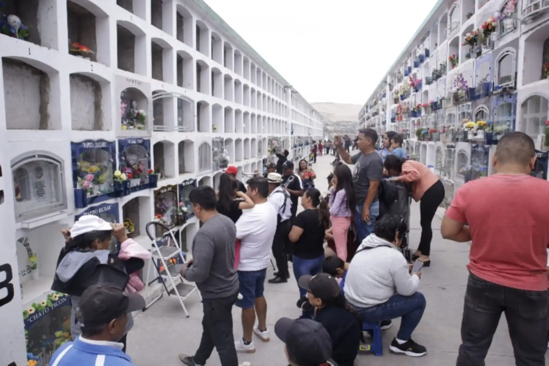 En el Día de Todos los Santos, más de 20,000 personas acudieron hasta el cementerio Divino Maestro de la ciudad ancashina de Chimbote para visitar a sus queridos que partieron hacia la eternidad; estimó la Sociedad de Beneficencia Pública de Chimbote, entidad que administra este campo santo. Foto: Difusión