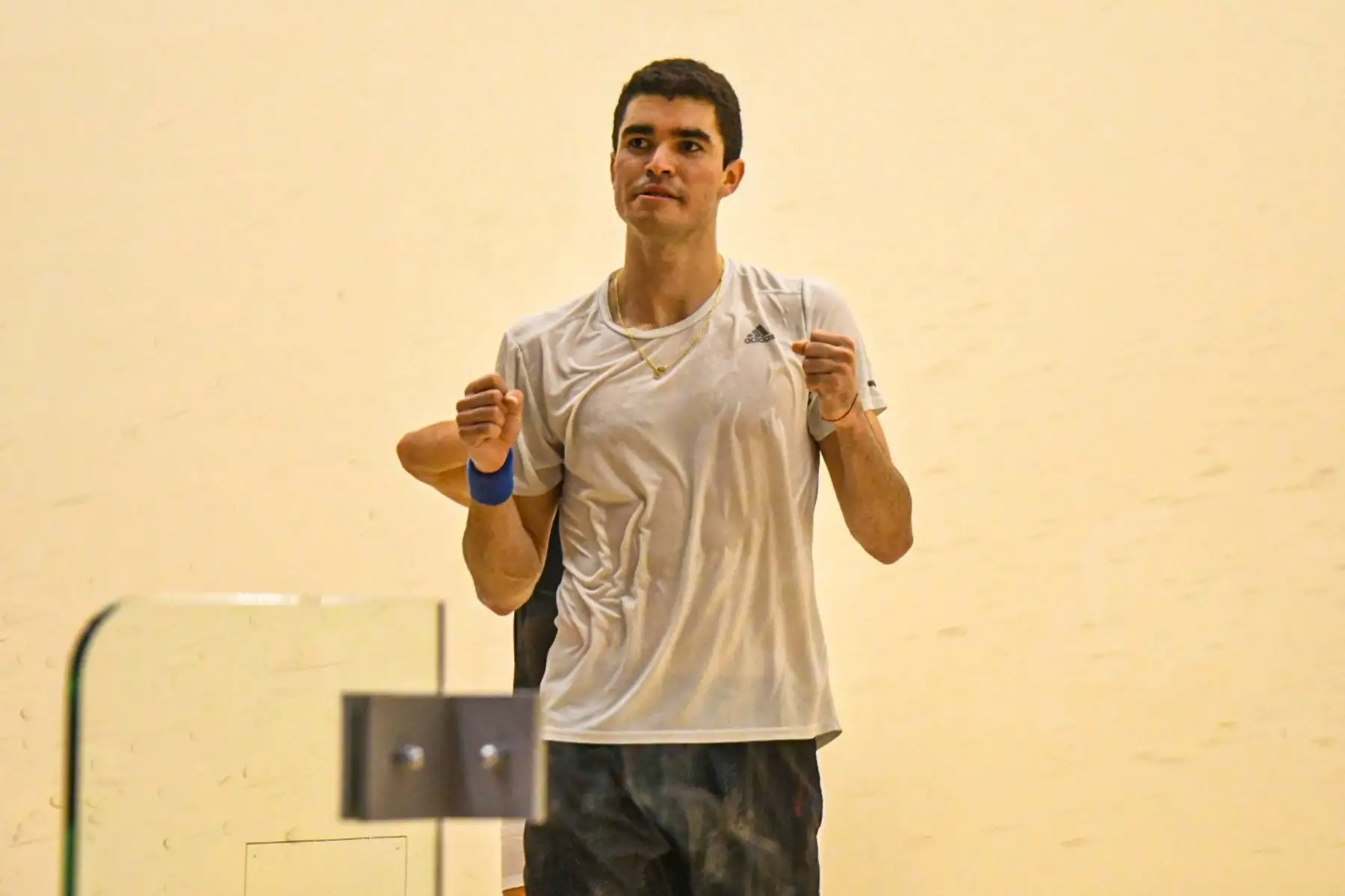 Diego Elías
