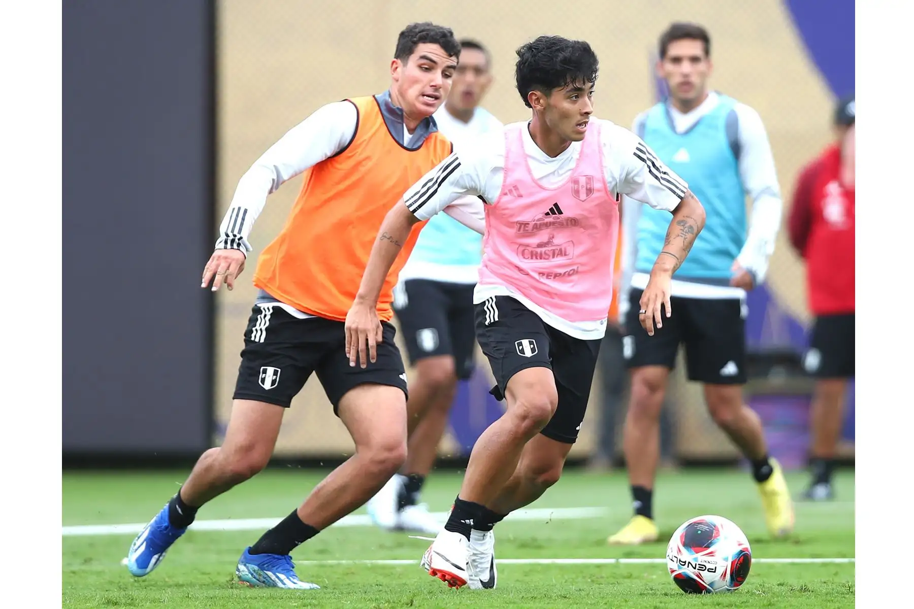 Jugadores de la Selección Peruana de Fútbol continúan con sus entrenamientos en la Videna de San Luis con miras a sus próximos partidos de Eliminatorias rumbo al Mundial de Fútbol 2026. Foto: FPF