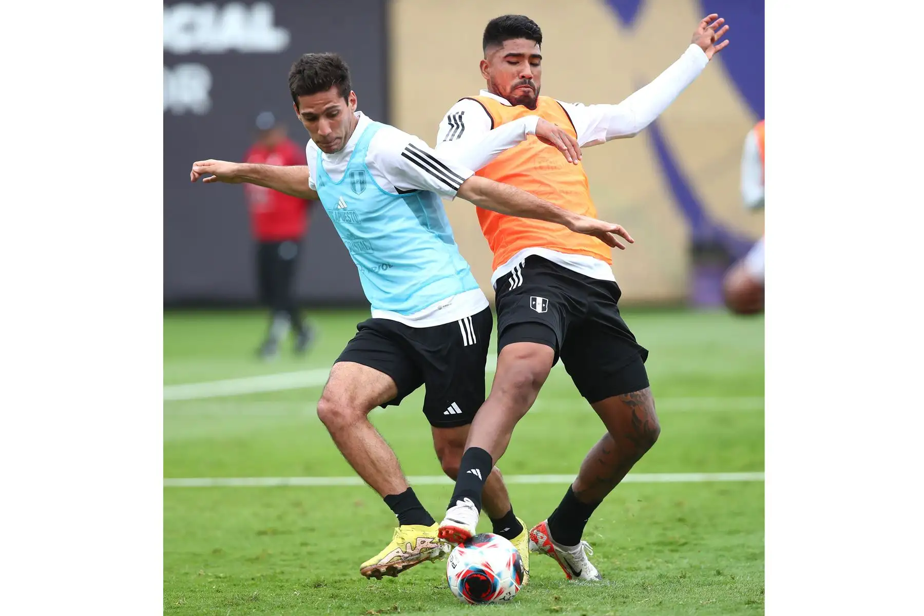 Jugadores de la Selección Peruana de Fútbol continúan con sus entrenamientos en la Videna de San Luis con miras a sus próximos partidos de Eliminatorias rumbo al Mundial de Fútbol 2026. Foto: FPF