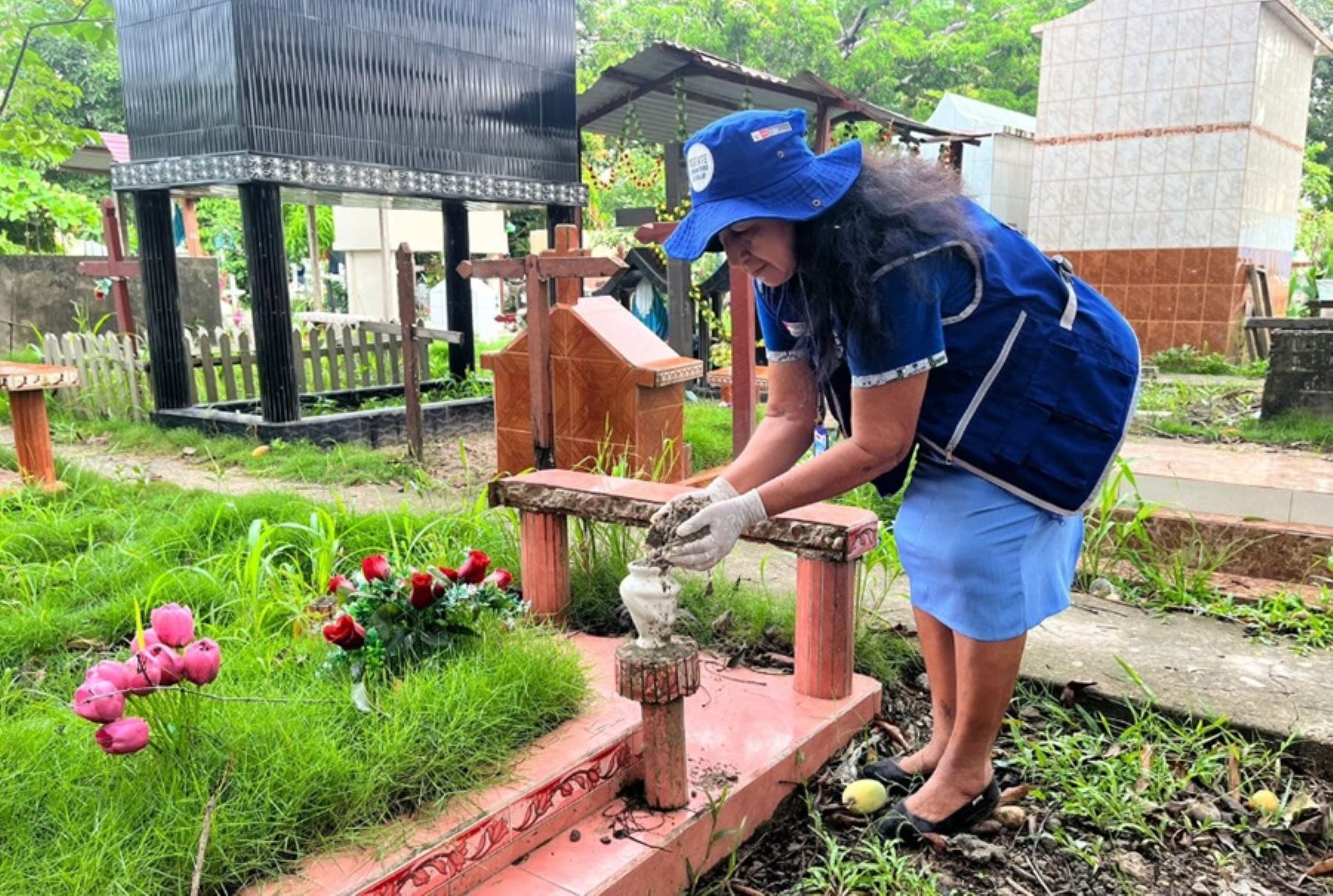 El Ministerio de Salud y la Dirección Regional de Salud (Diresa) de Ucayali realizaron el control larvario casa por casa y recojo y eliminación de criaderos de zancudos en el cementerio general de Pucallpa, como parte del relanzamiento de la campaña de lucha contra el dengue en beneficio de más de 234,464 personas.