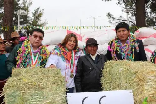 Dicha intervención cuenta con una inversión de S/ 196,740, permitiendo alimentar a los animales del campo como llamas y ovinos.