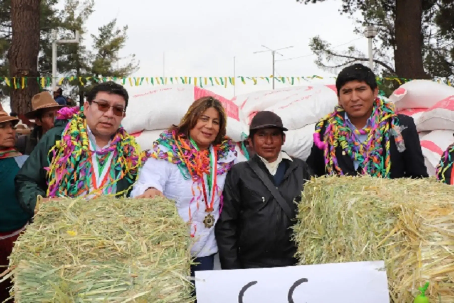 Dicha intervención cuenta con una inversión de S/ 196,740, permitiendo alimentar a los animales del campo como llamas y ovinos.