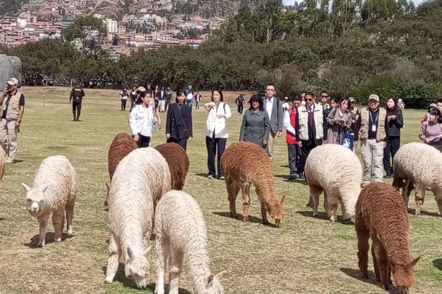 La princesa japonesa Kako, visitó el Parque Arqueológico Nacional de Saqsaywaman (Cusco), en donde quedó maravillada con la  cultura peruana. Ella, fue recibida por autoridades de la DDC Cusco, que entregaron un obsequio en nombre del Ministerio de Cultura.
Foto: Mincul
