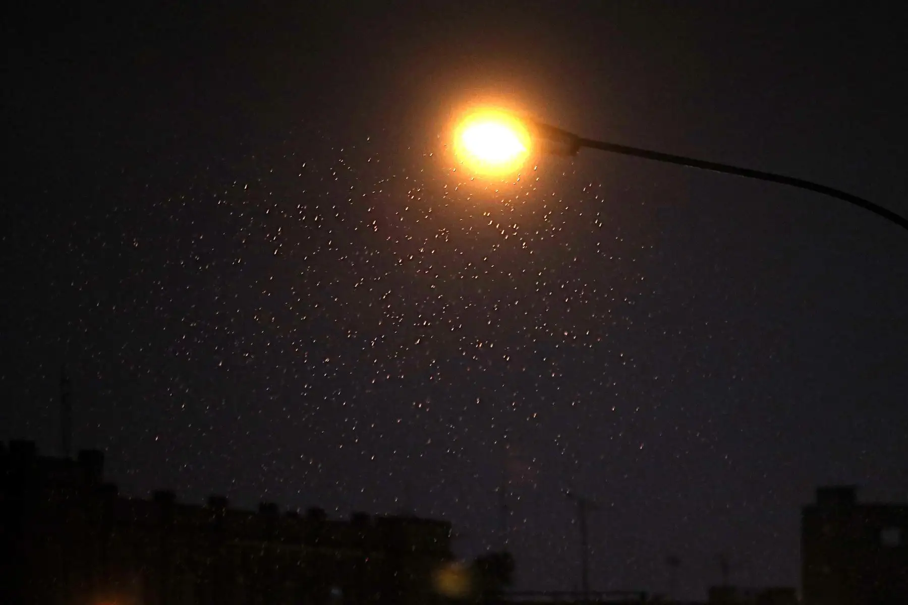 El Servicio Nacional de Meteorología e Hidrología del Perú (Senamhi) publicó en su cuenta de X, antes Twitter, que “se presenta una lluvia de moderada intensidad en las zonas altas de la región Lima”. 
Foto: ANDINA/Ricardo Cuba