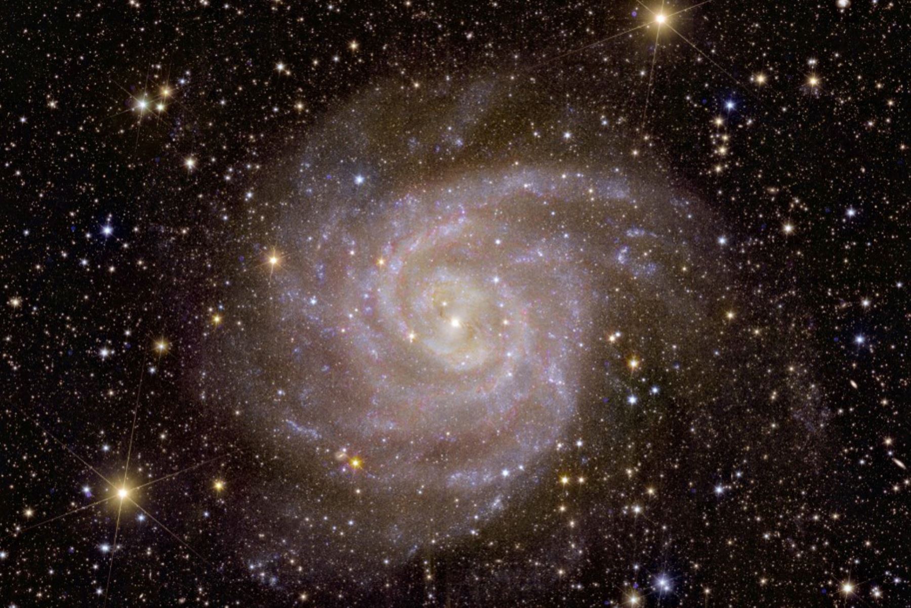 Euclid despegó en julio en la primera misión del mundo con el objetivo de investigar los misterios cósmicos duraderos de la materia y la energía oscuras.Lo hará en parte trazando un tercio del cielo, abarcando dos mil millones de galaxias alucinantes, para crear lo que ha sido anunciado como el mapa 3D más preciso del universo jamás creado. Foto: AFP