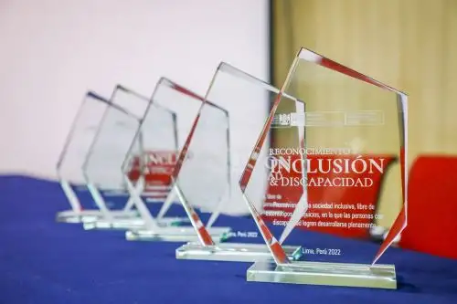 El Conadis informó que, para esta edición, se contempló 10 categorías: