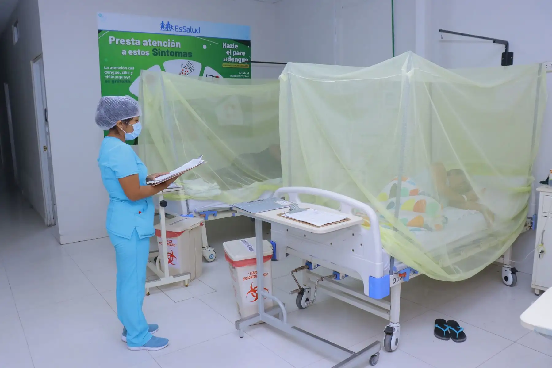¿Qué es el dengue y cómo evito contagiarme?. Foto: EsSalud