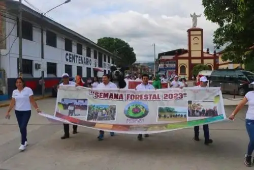 Con diversas actividades la región San Martín celebra la Semana Nacional Forestal 2023.