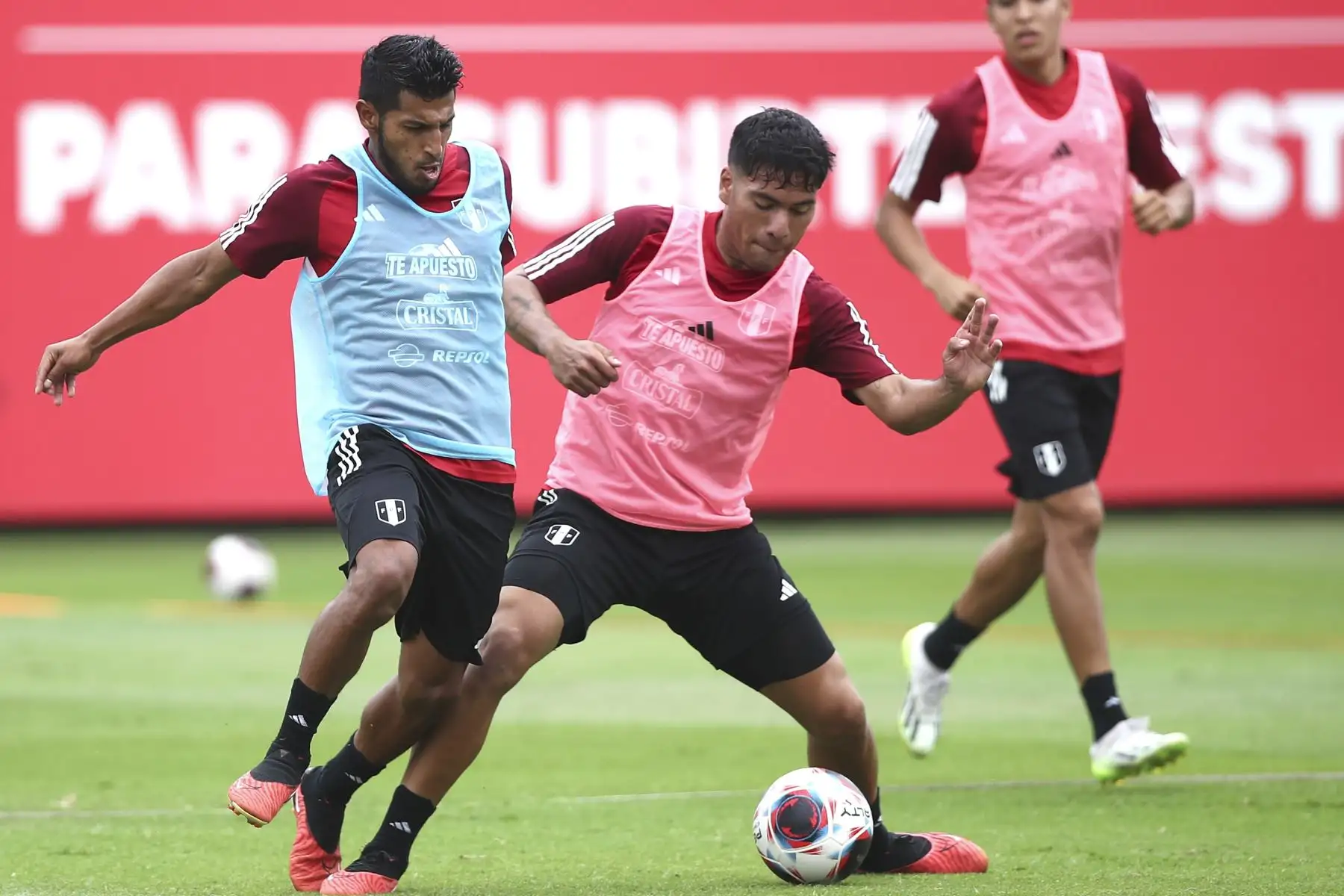 Jugadores de la Selección Peruana de Fútbol volvieron a las prácticas en el complejo de entrenamiento en la videna de San Luis. Foto: FPF