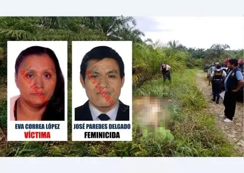 José Paredes Delgado fue condenado a 17 años y 2 meses de prisión efectiva tras ser hallado responsable del asesinato de su exconviviente Eva Correa López.