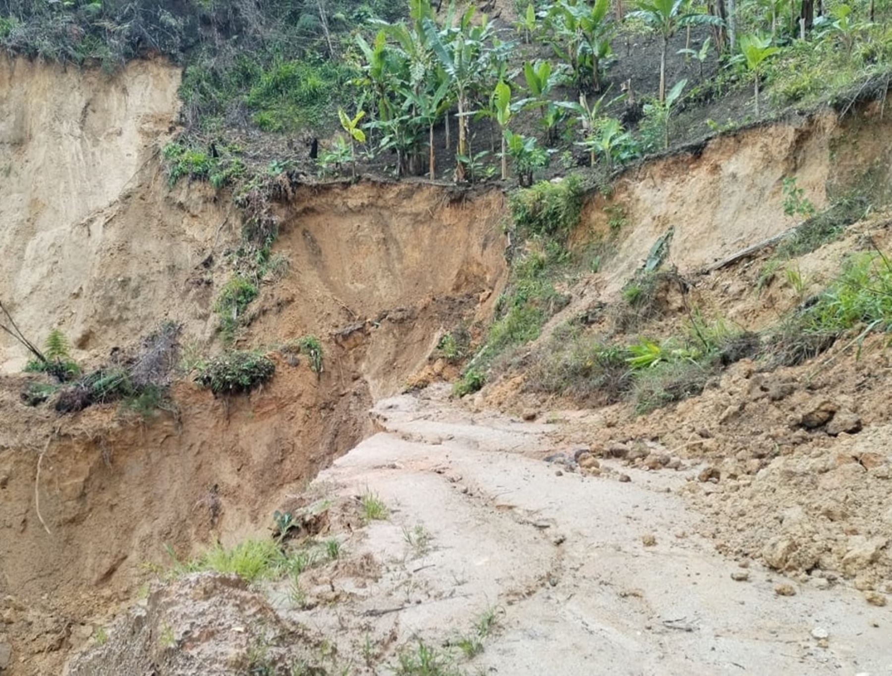 Lluvias intensas en la sierra de la región La Libertad han provocado deslizamientos que han bloqueado diversas carreteras de acceso a la provincia de Pataz. ANDINA/Difusión