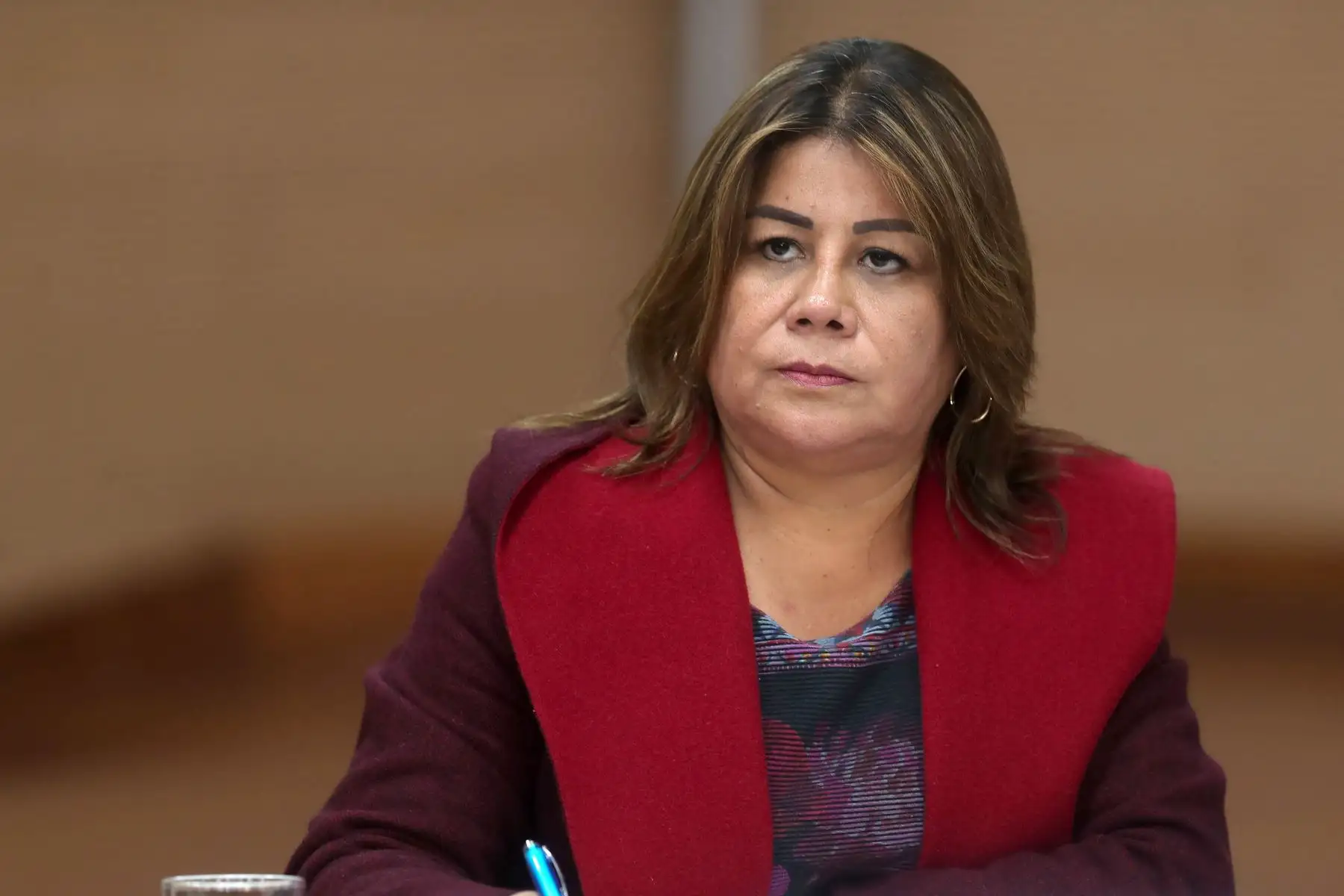 MEF presenta plan de reactivación económica, con la participación de Jennifer Contreras, ministra de Desarrollo Agrario y Riego. Foto: ANDINA/Ricardo Cuba