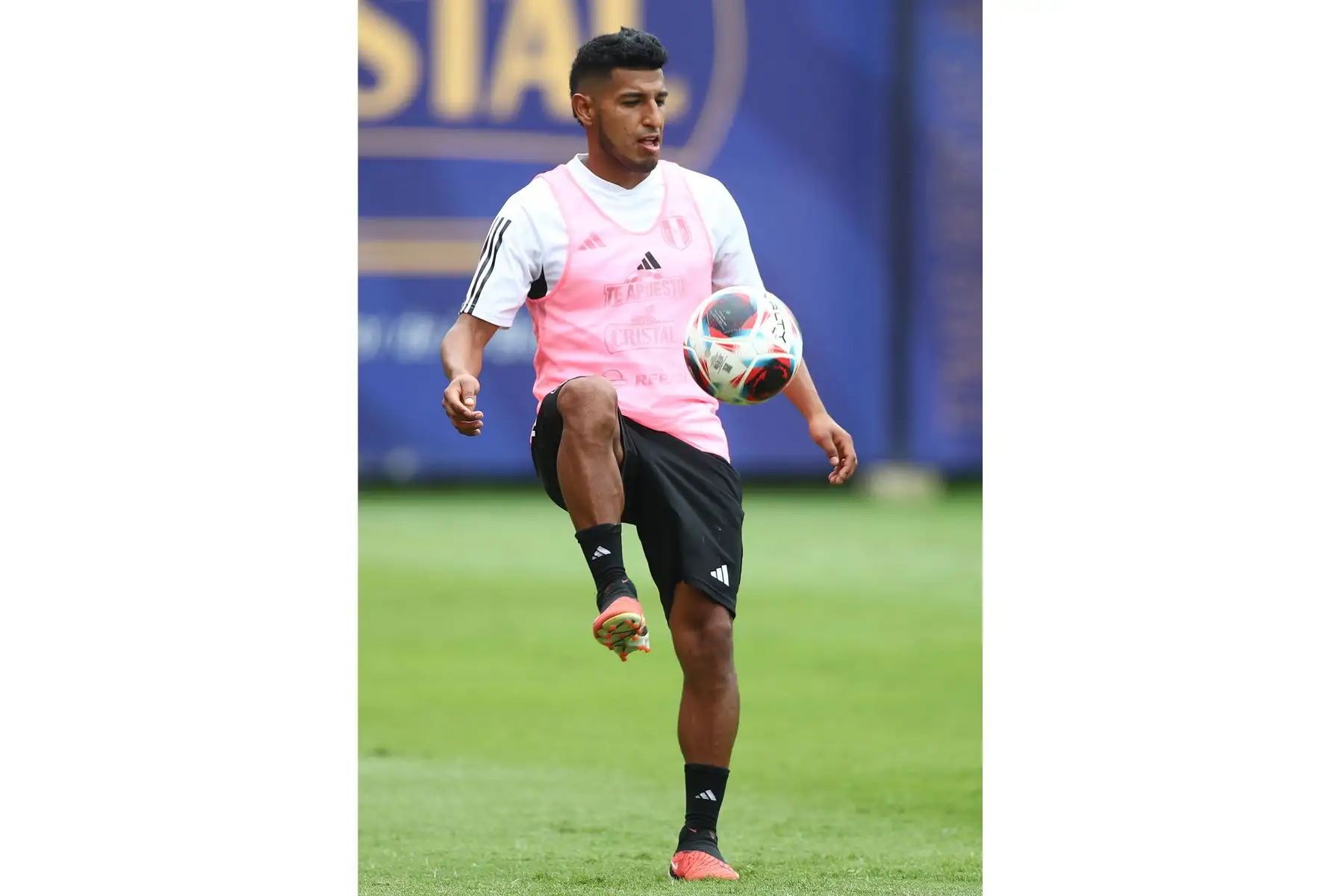 Jugadores convocados para la Selección Peruana de Fútbol continúan con sus entrenamientos hoy jueves 9 de noviembre en la Videna, con miras a los partidos de eliminatorias rumbo al Mundial de Fútbol 2026. Foto: FPF