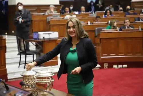 Congresista representante de San Martín, Cheryl Trigozo. ANDINA/Difusión