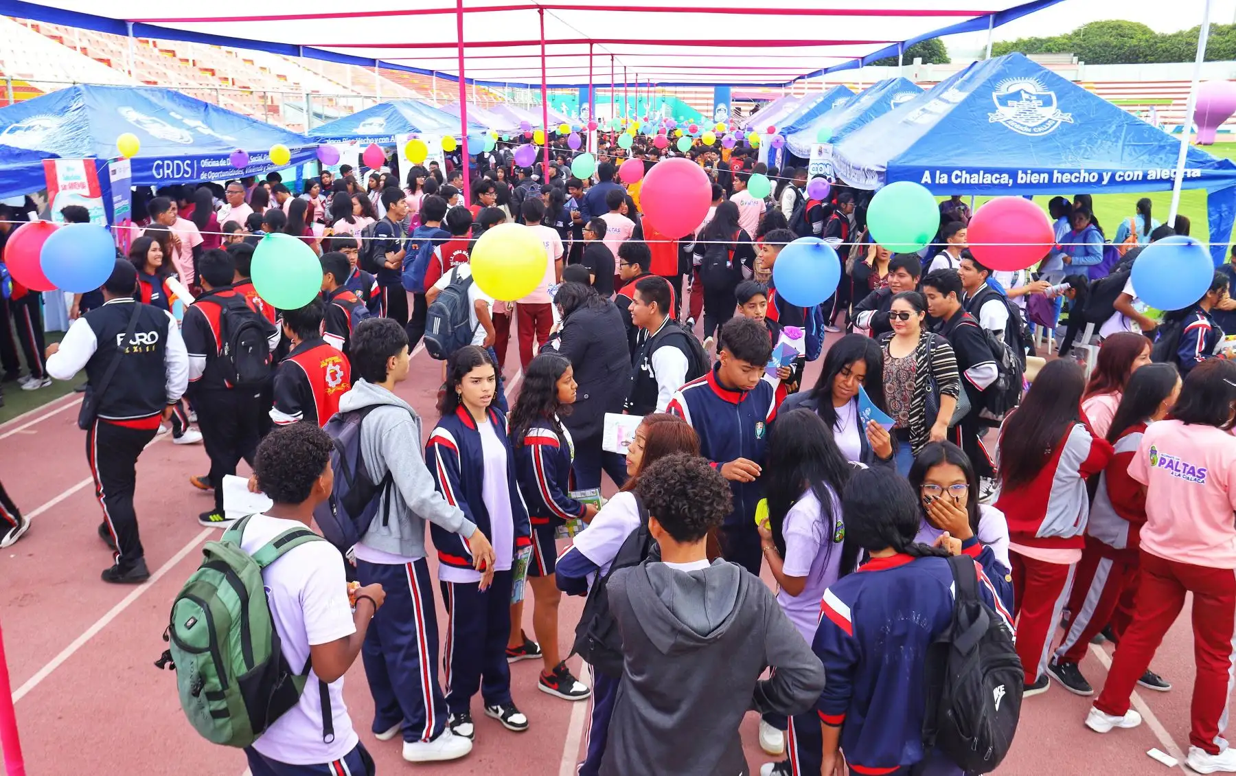 Más de 600 escolares participan en Feria de Servicios Sociales 
