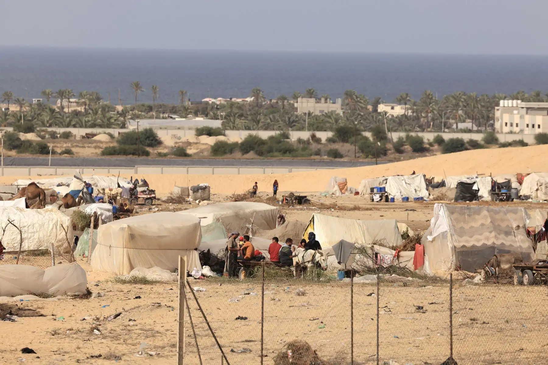 Los palestinos desplazados internos que han huido de sus hogares en el norte de la Franja de Gaza debido al intenso bombardeo militar israelí, viven en refugios improvisados ​​construidos en terreno vacío en Khan Yunis, en el sur de la Franja de Gaza, el 11 de noviembre de 2023, en medio de las batallas en curso entre Israel y el El grupo palestino Hamás. Decenas de miles de personas han huido principalmente a pie hacia el sur de Gaza en los últimos días, según la agencia de las Naciones Unidas para los refugiados palestinos (UNRWA), aproximadamente dos tercios de la población de Gaza, y casi 1,6 millones de personas han sido desplazadas internamente desde entonces. 7 de octubre, tras la guerra que estalló después de que militantes de Hamas atacaran el sur de Israel el 7 de octubre matando al menos a 1.400 personas.
Foto: AFP