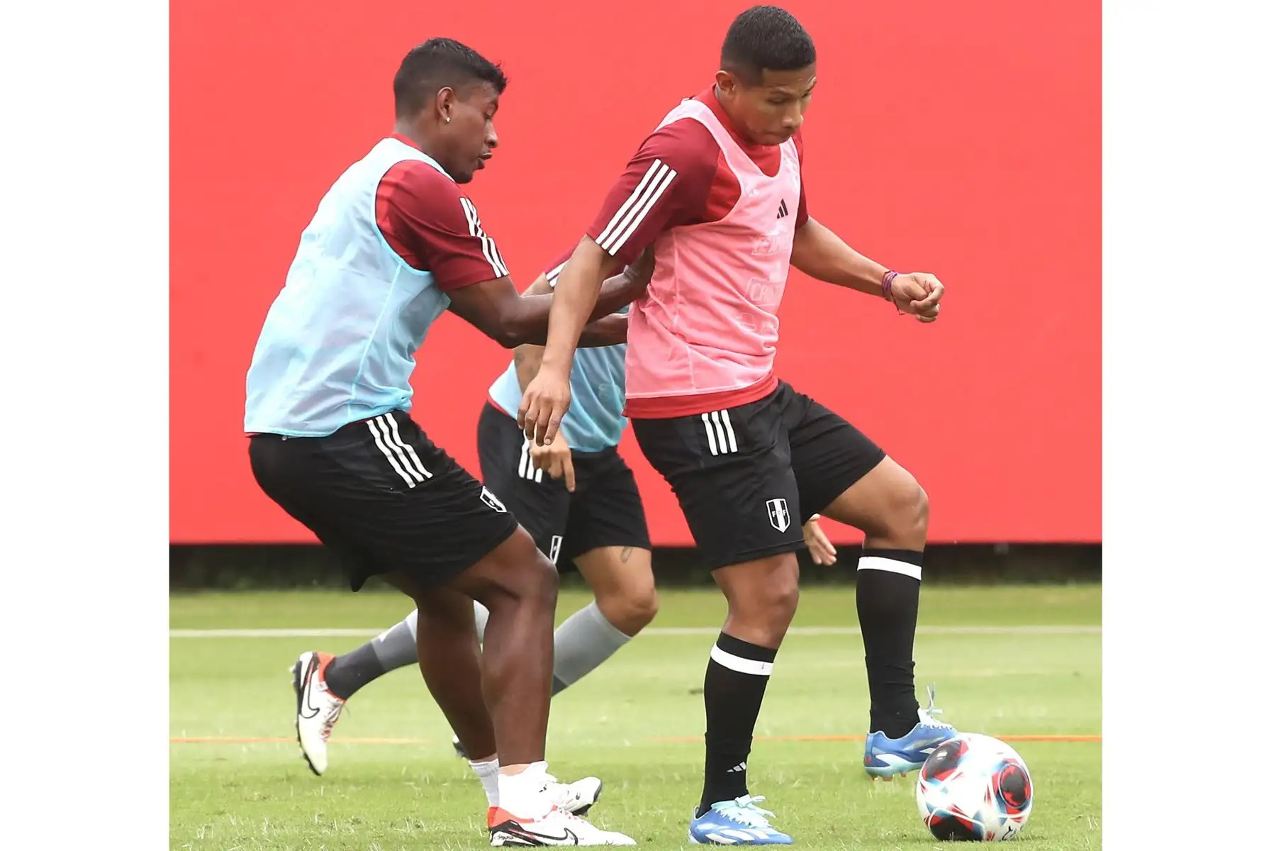 La Selección Peruana de Fútbol comenzó a trabajar con intensidad con miras a sus partidos ante Bolivia (jueves 16) y Venezuela (martes 21).
En la imagen, Edison Flores.
Foto: Selección Peruana