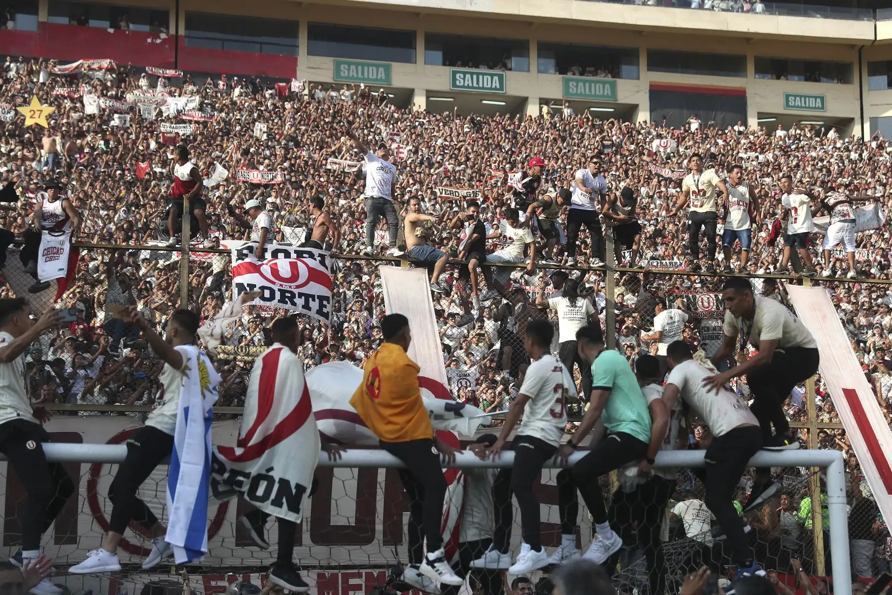 Hinchas de Universitario celebran la premiación al club Universitario de Deportes, tras ganar el campeonato de la Liga 1 y coronarse campeón del futbol peruano 2023 en el estadio Monumental de Ate.
Foto: ANDINA/ Ricardo Cuba
