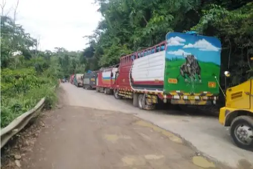 Las lluvias que se produjeron esta madrugada también causaron estragos en distintos anexos del distrito de Kimbiri, en la provincia cusqueña de La Convención.