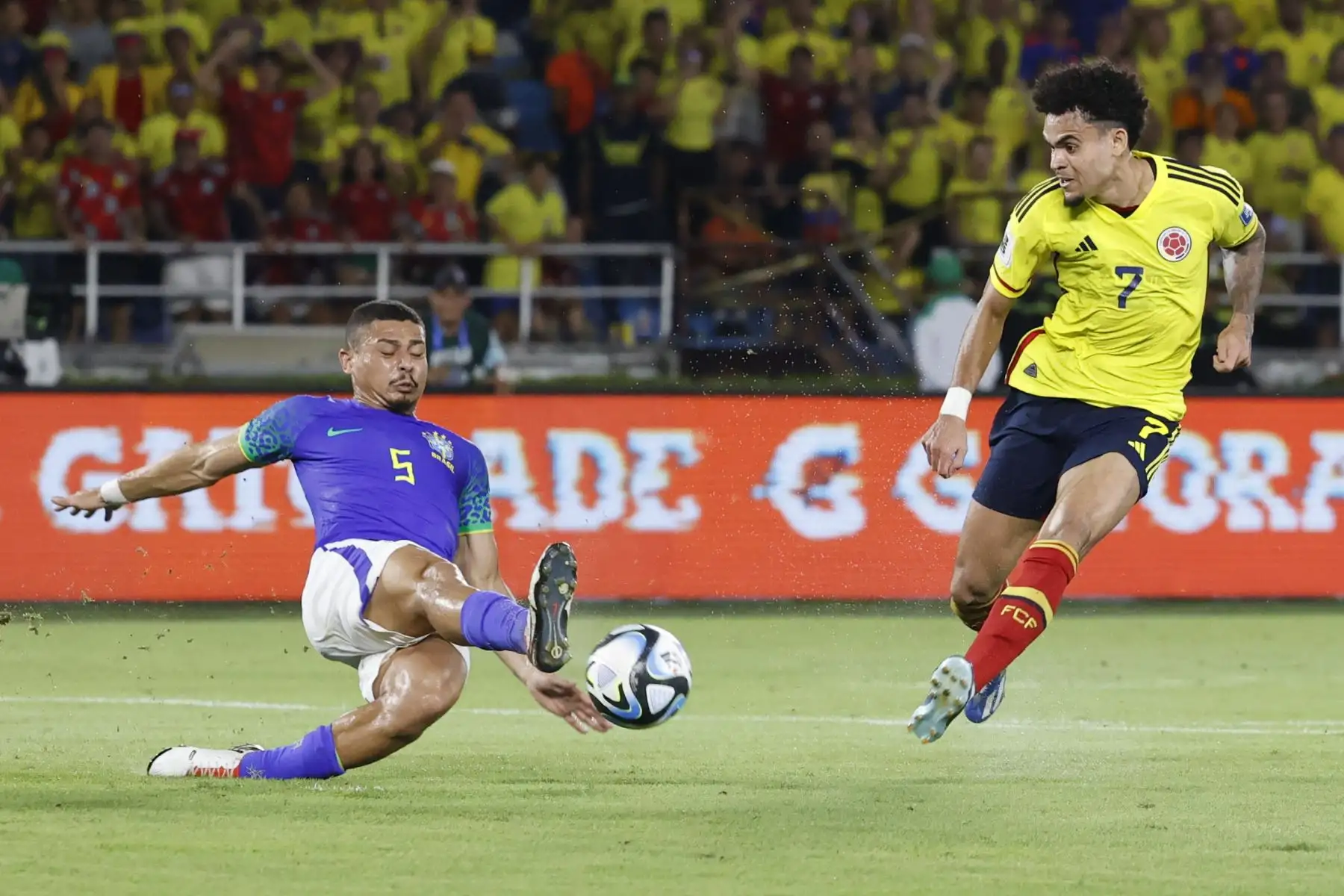 Luis Díaz de Colombia disputa el balón con Andre de Brasil hoy, en un partido de las Eliminatorias Sudamericanas para la Copa Mundial de Fútbol 2026 entre Colombia y Brasil en el estadio Metropolitano en Barranquilla (Colombia).
Foto: EFE
