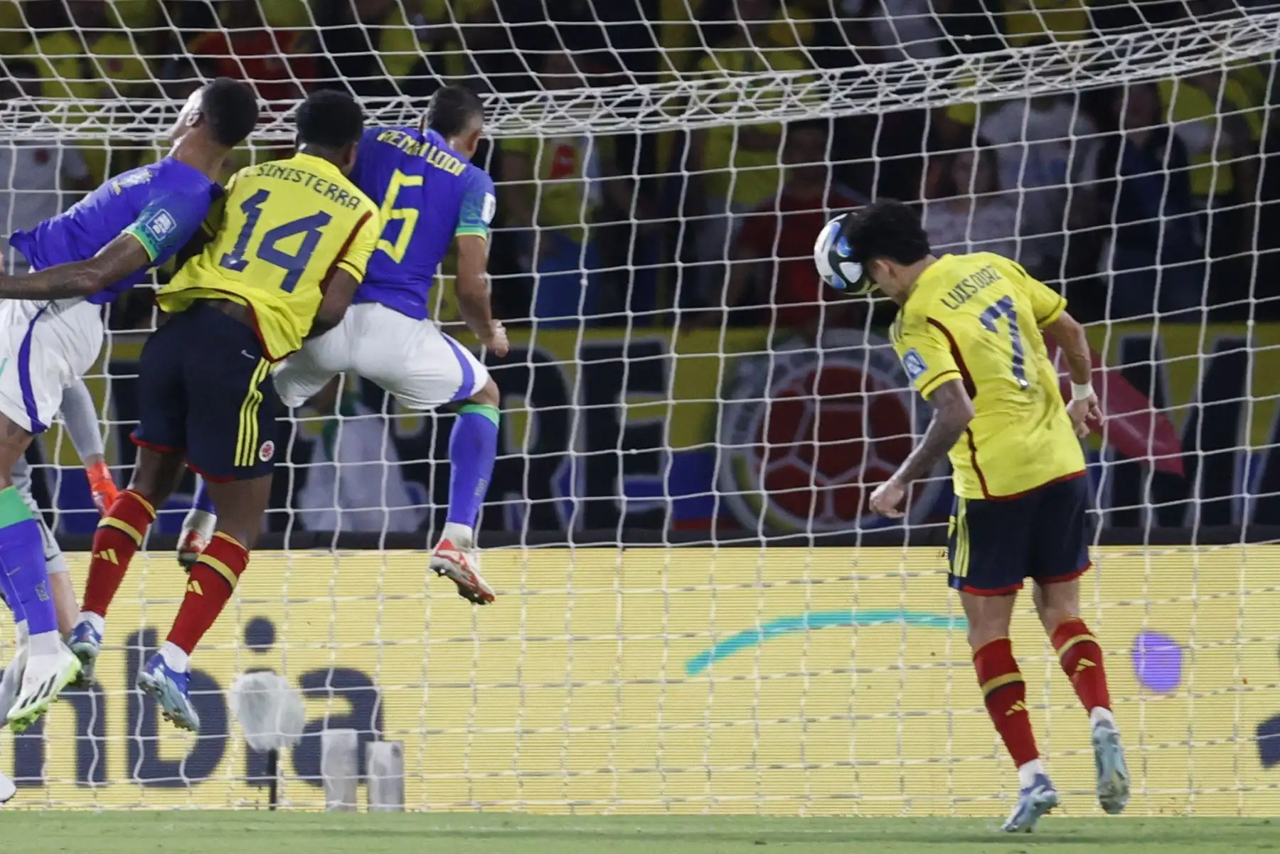 Luis Díaz de Colombia cabecea para anotar un gol hoy, en un partido de las Eliminatorias Sudamericanas para la Copa Mundial de Fútbol 2026 entre Colombia y Brasil en el estadio Metropolitano en Barranquilla (Colombia).
Foto: EFE