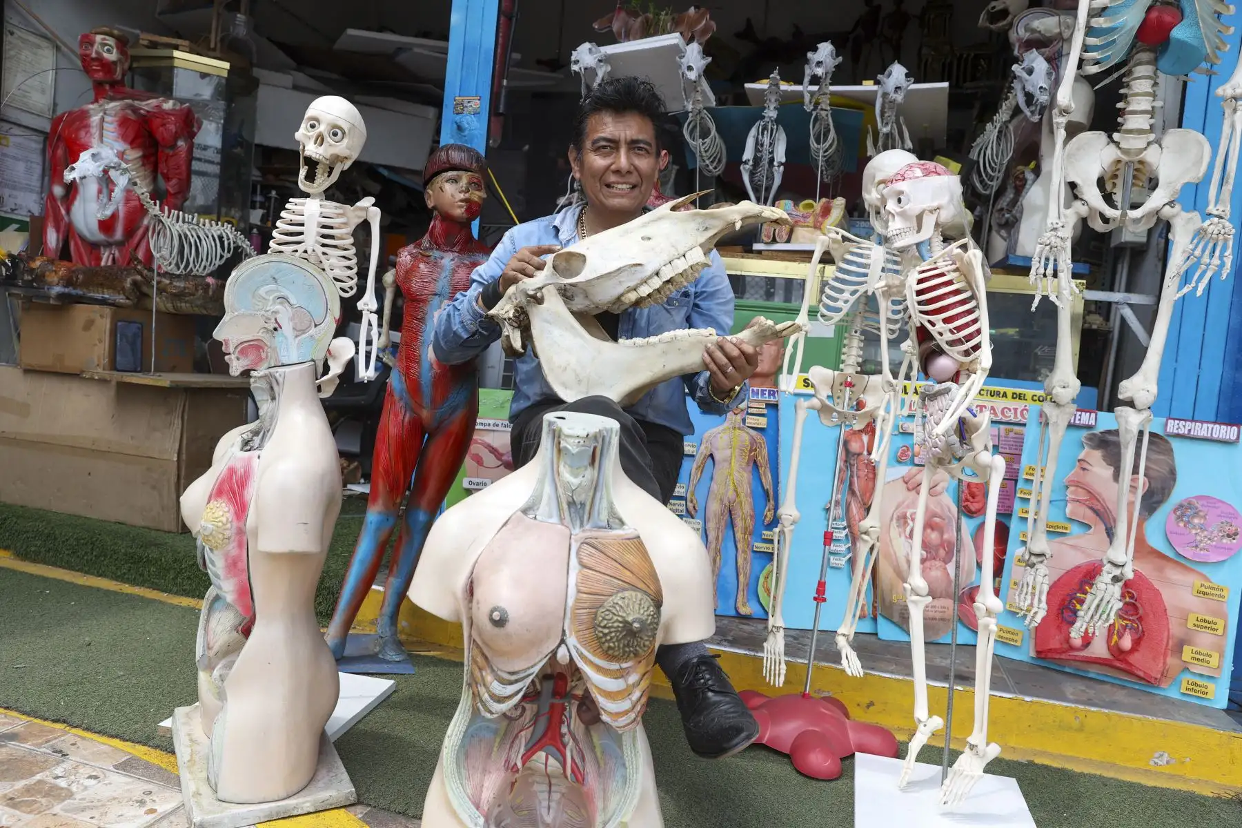 En su estand, Víctor Hugo Gutiérrez vive entre dinosaurios y esqueletos que hace de resina y cerámica al frío; pulmones que laten y sistemas sanguíneos que fluyen gracias a un motor.

Foto:ANDINA/Juan Carlos Guzmán Negrini
