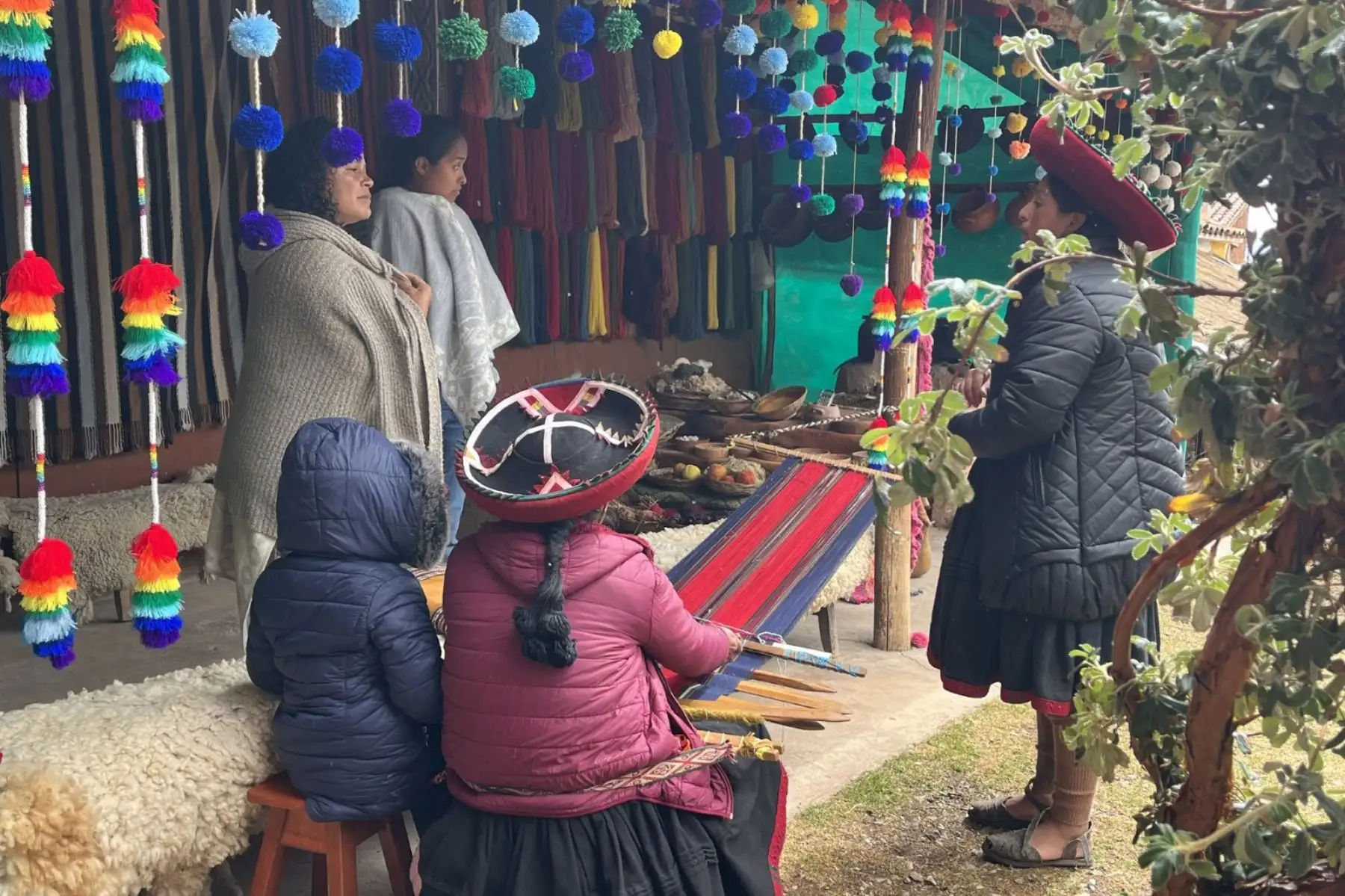 Es la primera de siete hermanos, casada con un artesano y madre de cuatro hijos. Comenzó desde adolecente a interactuar con visitantes nacionales y extranjeros que llegaban al parque arqueológico de Chinchero. Ella vio de cerca la superación al adecuar su casa y ofrecerles estadía. Foto: ANDINA/ Percy Hurtado