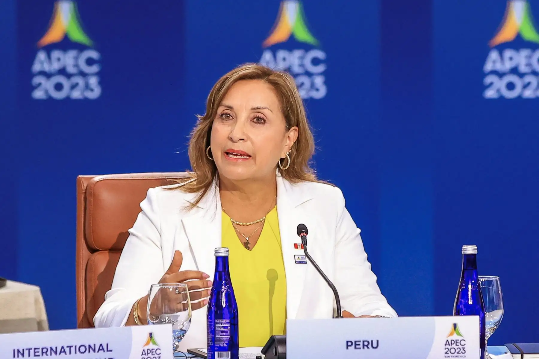 ANDINA/Prensa Presidencia