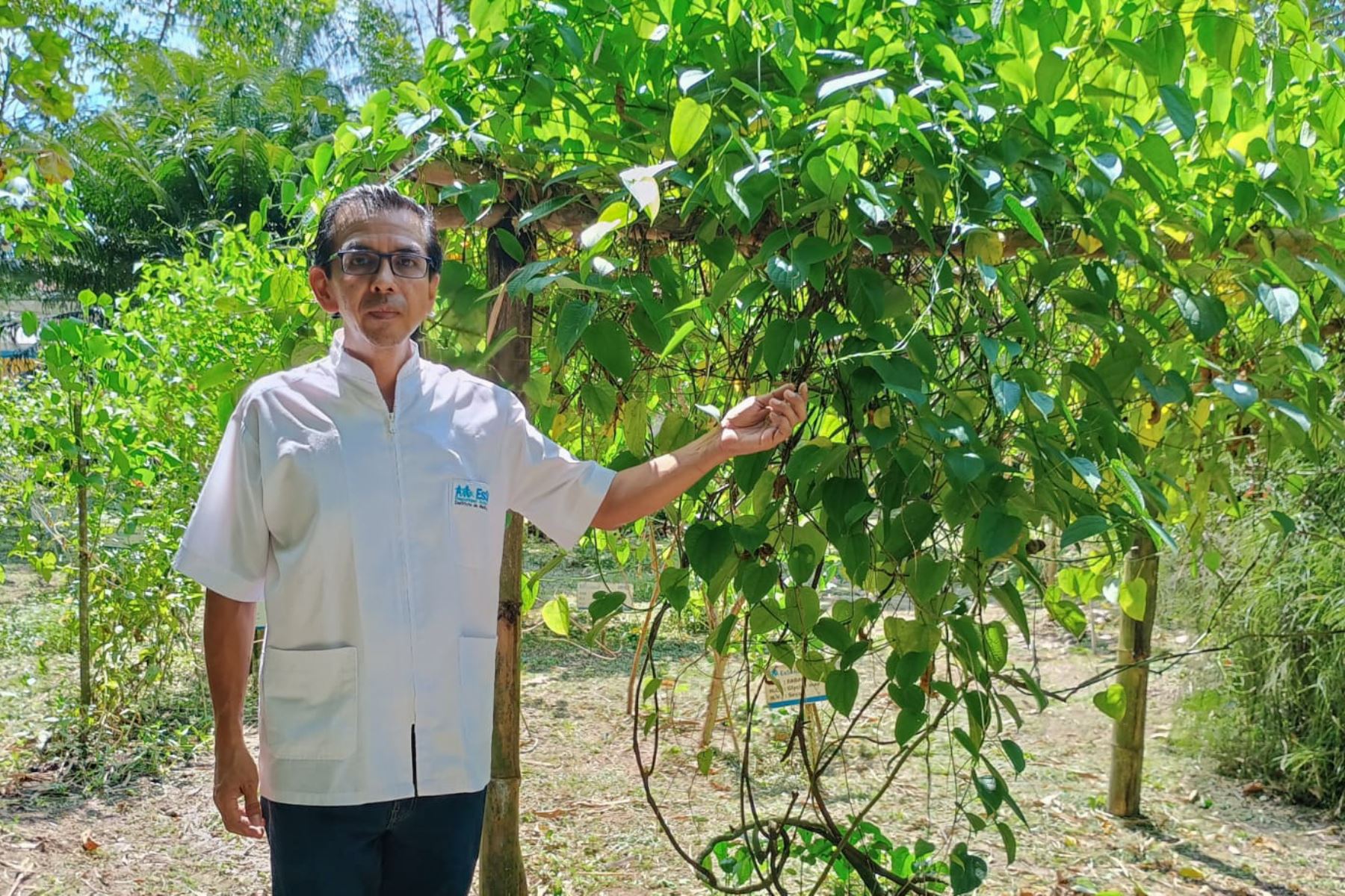 La selva es su laboratorio. Conoce la inspiradora trayectoria del médico José Aranda en la medicina tradicional. Foto: ANDINA/Difusión