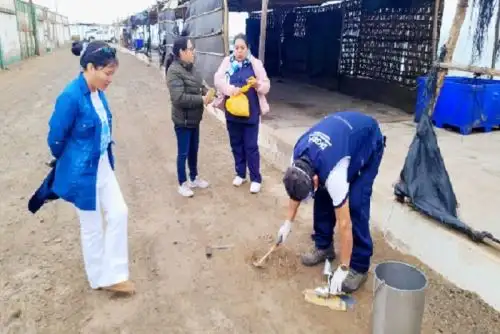 Resultados de las muestras que fueron traídas a Lima podrán conocerse en 15 días.