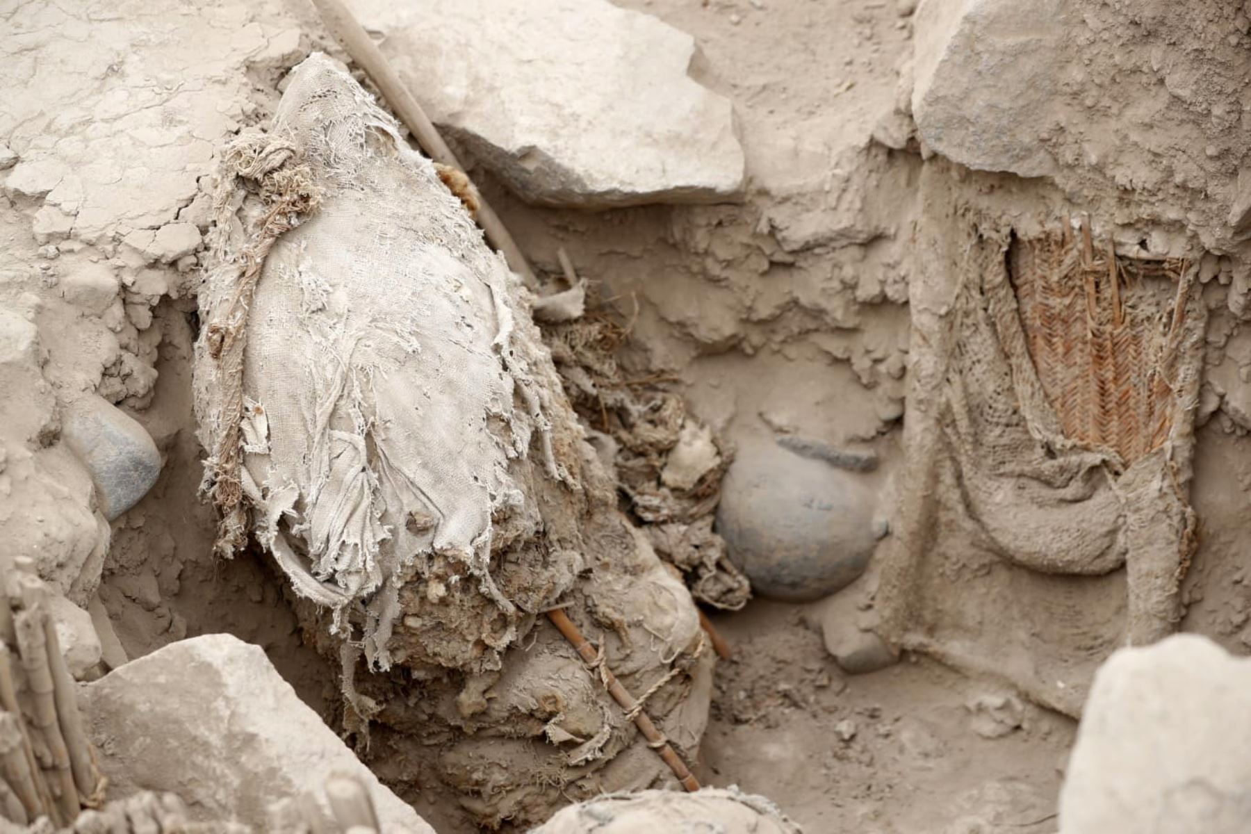 Descubren cinco momias de más de mil años de antiguedad en la huaca Florida, del Rímac. Foto: ANDINA/Daniel Bracamonte
