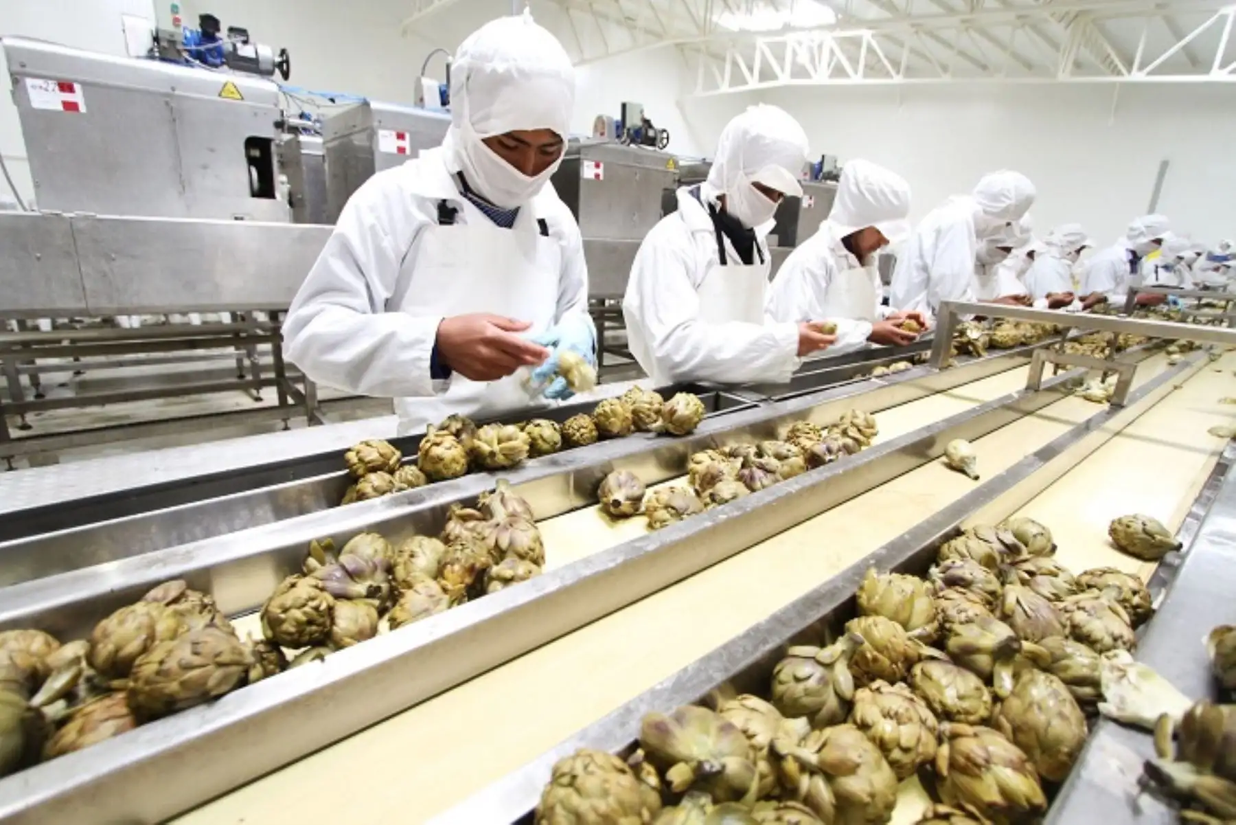 Produce: Ica será sede de encuentro de regiones innovadoras, productivas y sostenibles