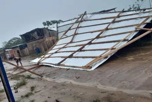 COER de Ucayali recomendó asegurar techos y estructuras ligeras, así como evitar permanecer cerca de árboles o postes inestables. ANDINA/Difusión