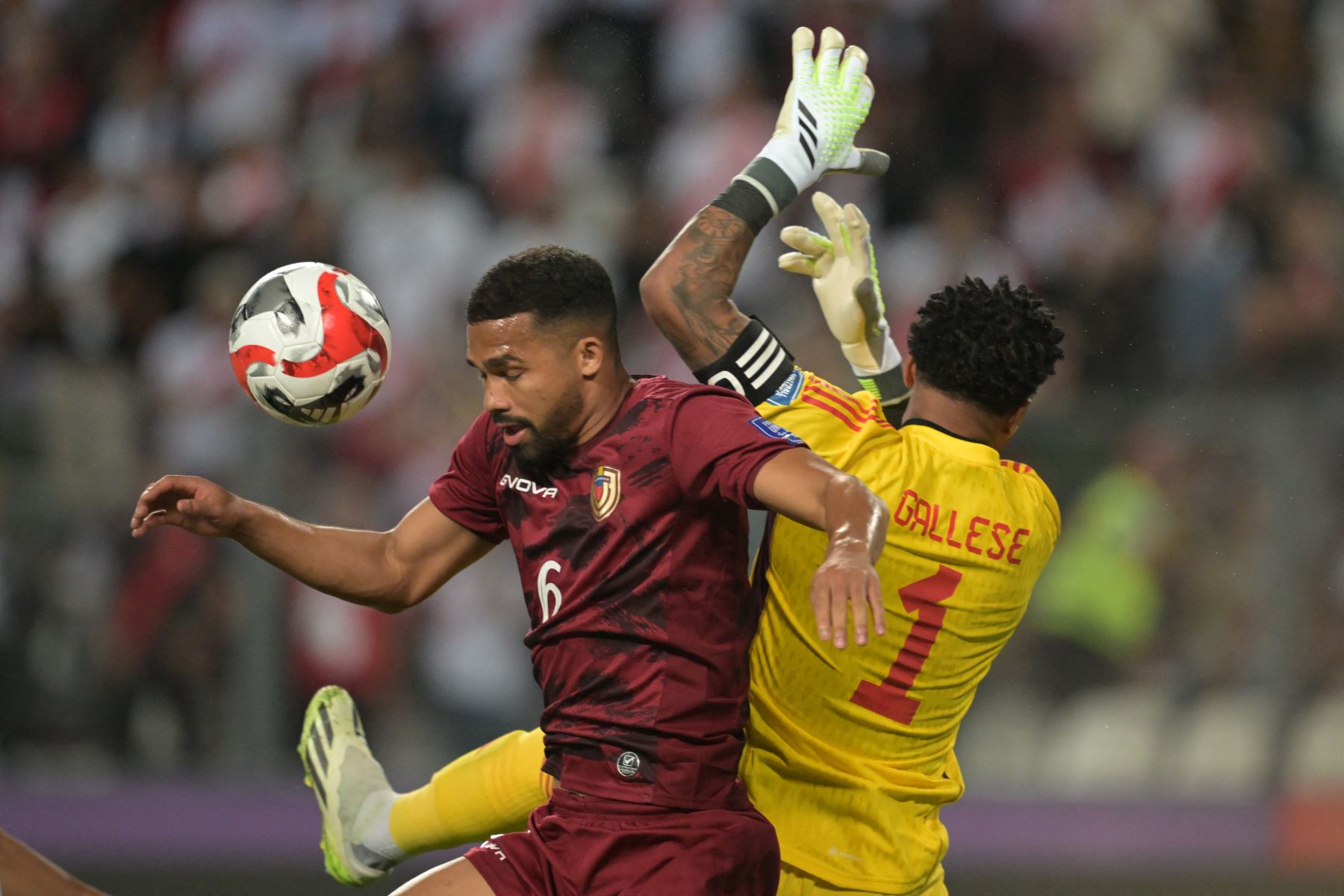 El mediocampista venezolano Yangel Herrera lucha por el balón con el portero peruano Pedro Gallese durante el partido de fútbol clasificatorio sudamericano para la Copa Mundial de la FIFA 2026 entre Perú y Venezuela en el Estadio Nacional de Lima el 21 de noviembre de 2023.
Foto: AFP