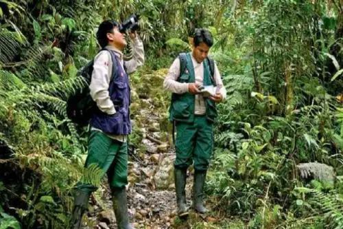 Foto: ANDINA/difusión.