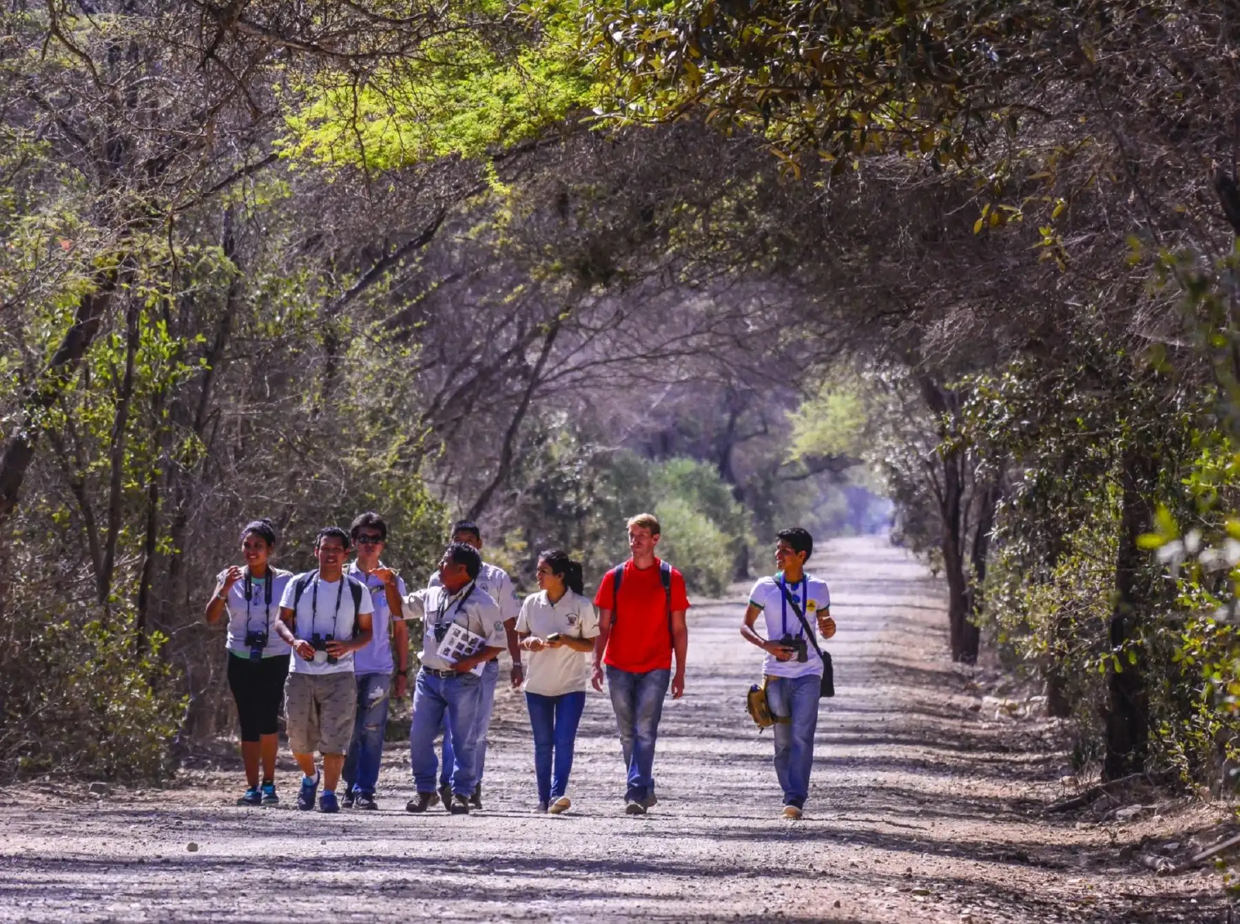 Disfrute con su familia de los últimos feriados de 2024. Foto: Andina